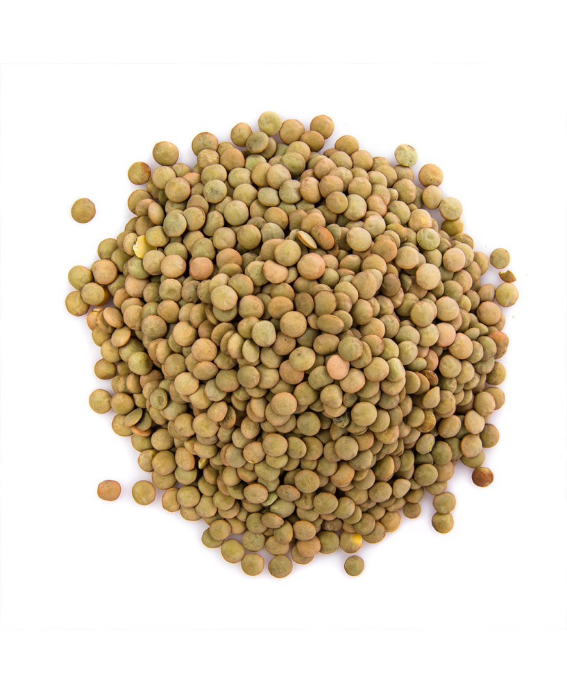 Germinado de Lenteja ECO, 1 kg
