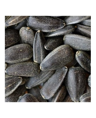 Germinado de Girasol, 1 kg