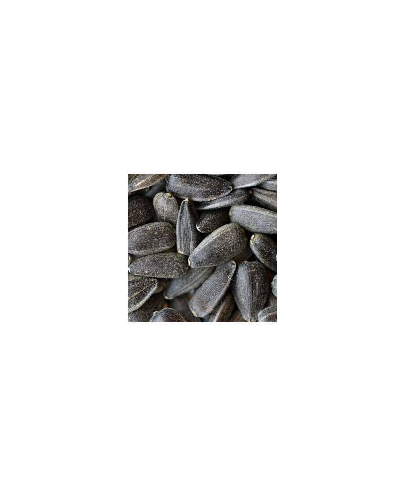 Germinado de Girasol, 1 kg