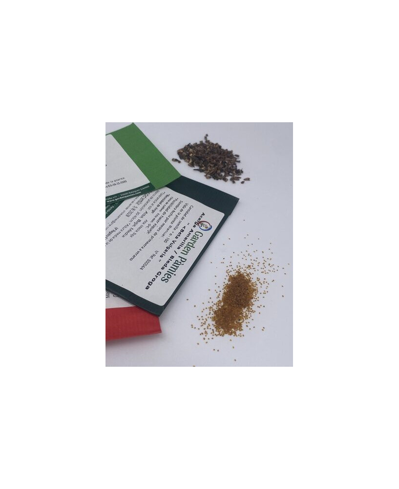 Pack 20 Semillas Principales Medicinales 1