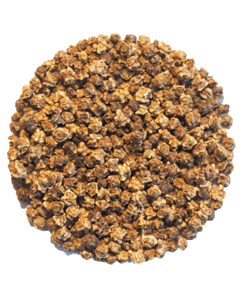 Germinado de Remolacha Sangre de Toro, 500 g