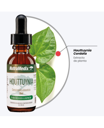Houttuynia, 30 ml