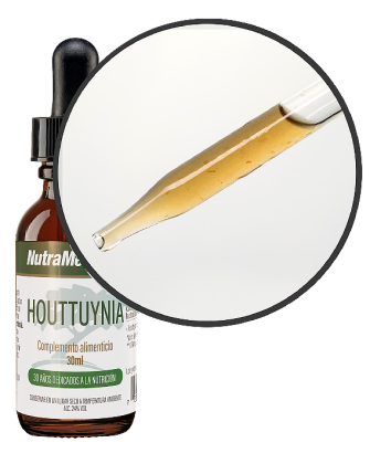 Houttuynia, 30 ml