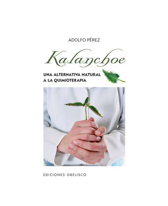 Kalachoe