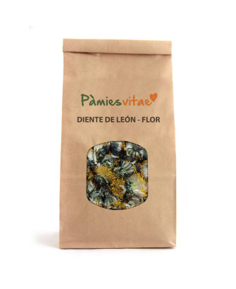 DIENTE DE LEON FLOR - Taraxacum officinale