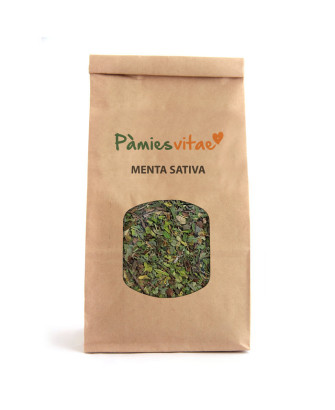 MENTA SATIVA - Mentha sativa