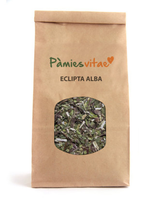 ECLIPTA ALBA - Eclipta alba
