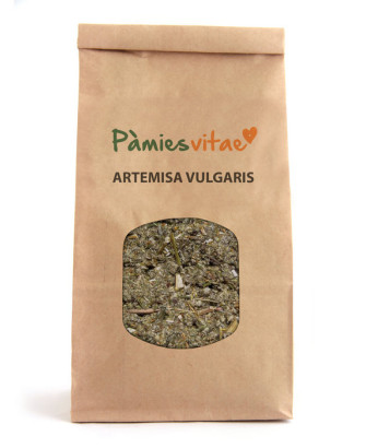VULGARIS ARTEMISA - Artemisia vulgaris