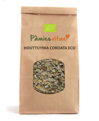 HOUTTUYNIA HIERBA DEL PESCADO ECO - Houttuynia cordata
