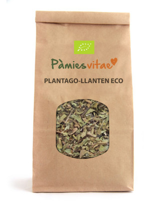 PLANTAGO/LLANTEN ECO - Plantago major