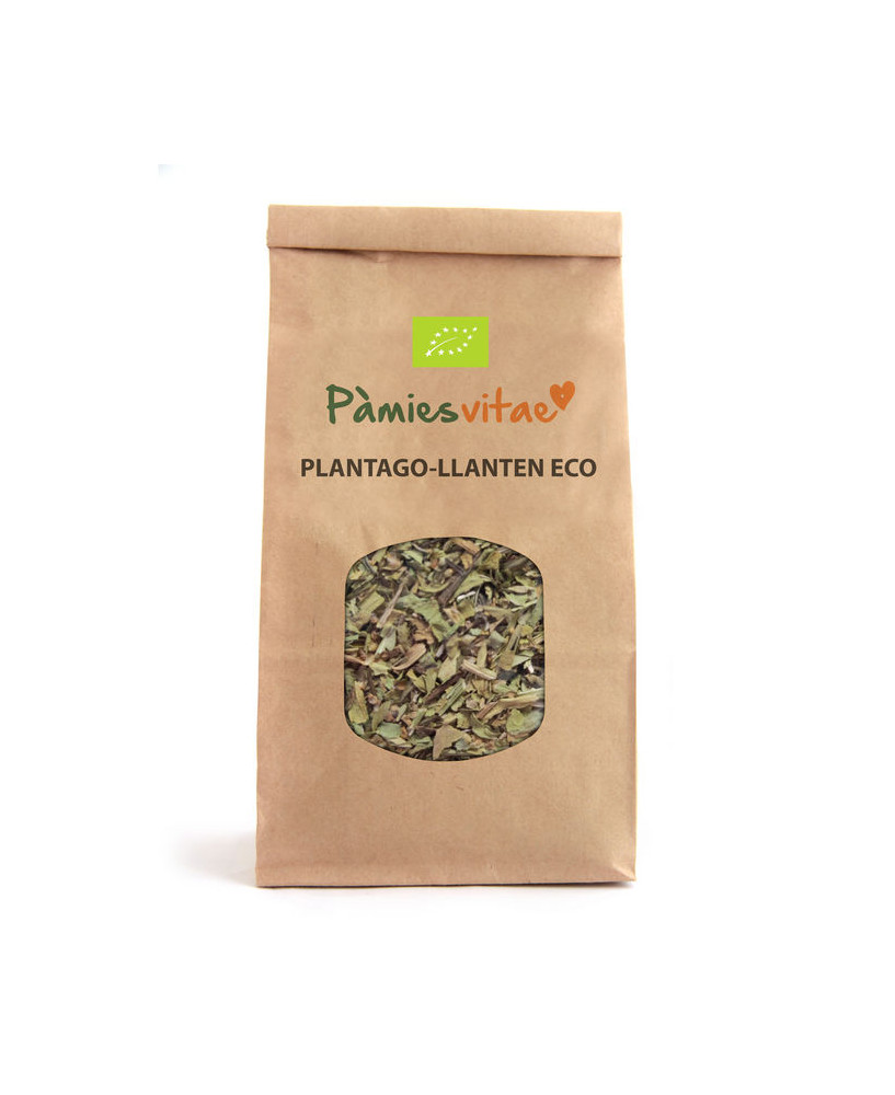 PLANTAGO/LLANTEN ECO - Plantago major