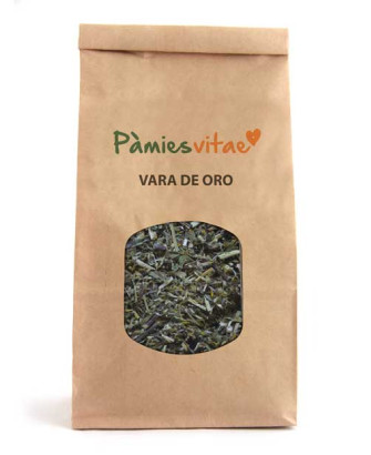VARA DE ORO - Solidago virgaurea