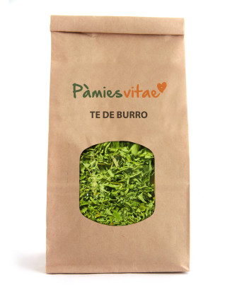 TÉ DE BURRO - Aloysia polystachya