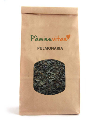 PULMONARIA - Pulmonaria officinalis