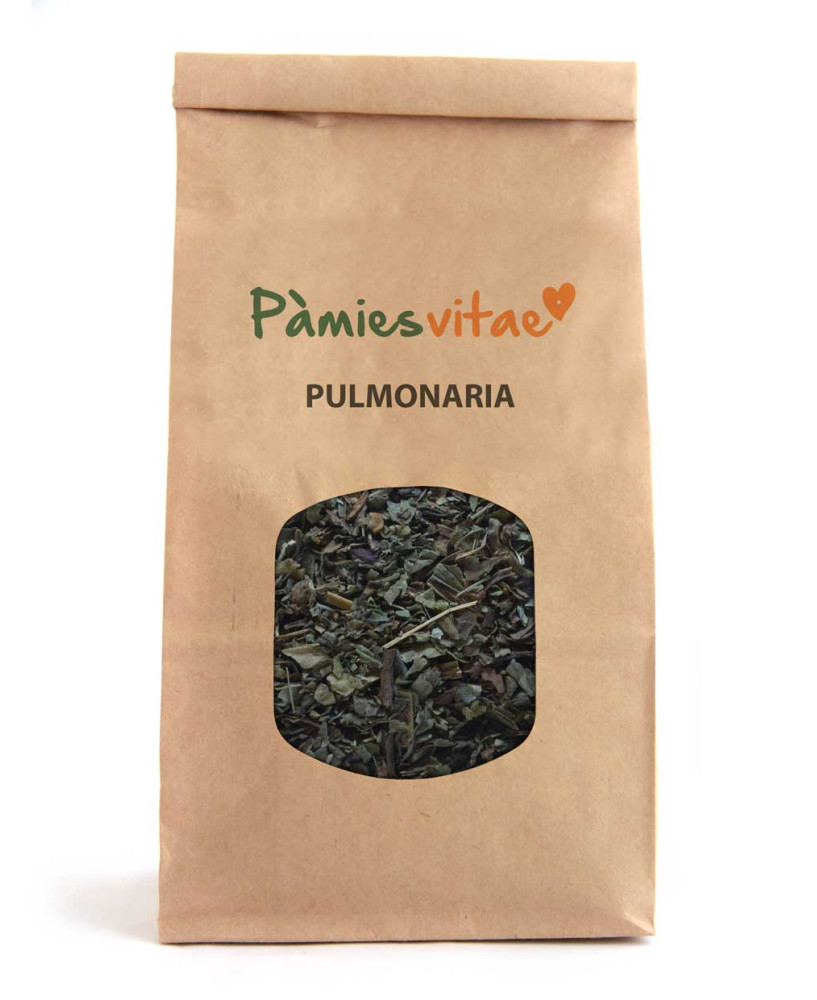 PULMONARIA - Pulmonaria officinalis