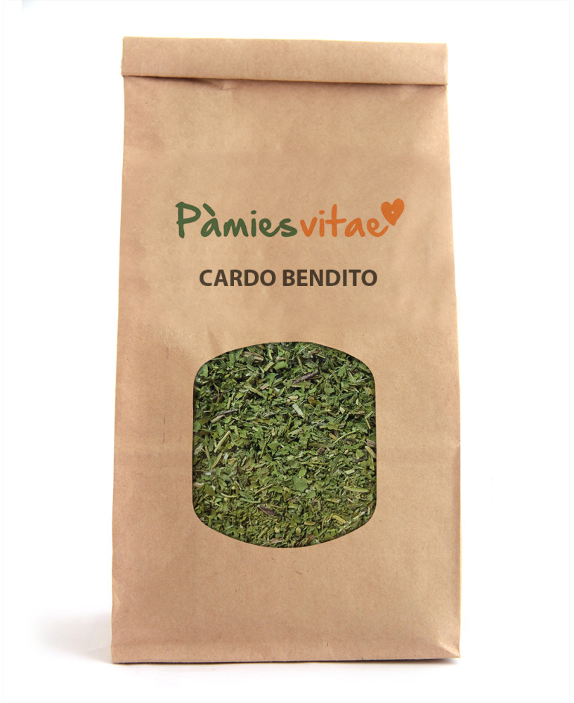 CARDO BENDITO - Cnicus benedictus