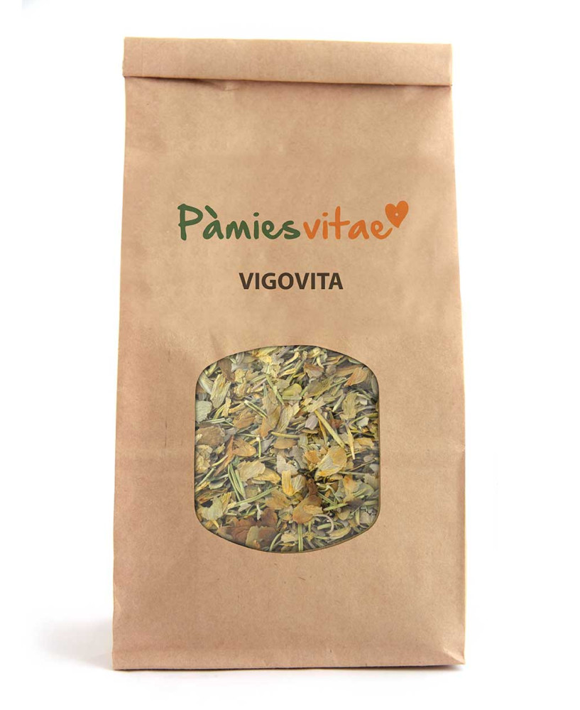 VIGOVITA