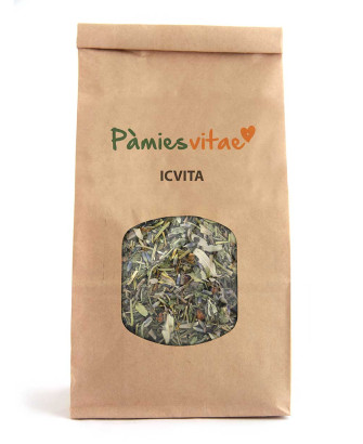 ICVITA