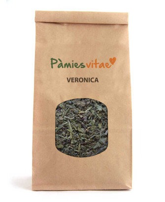 VERONICA - Veronica officinalis
