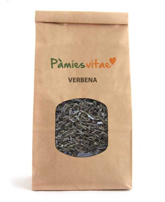VERBENA/BERBENA - Verbena officinalis