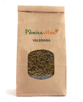 VALERIANA - RAIZ - Valeriana officinalis