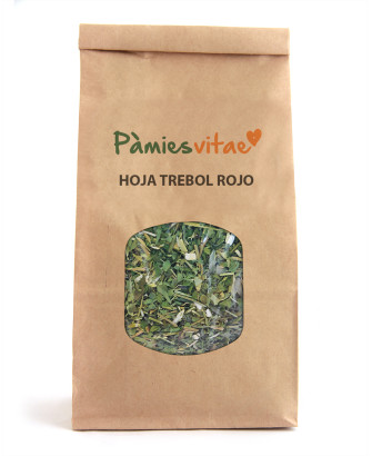TREBOL ROJO - HOJA - Trifolium pratenses