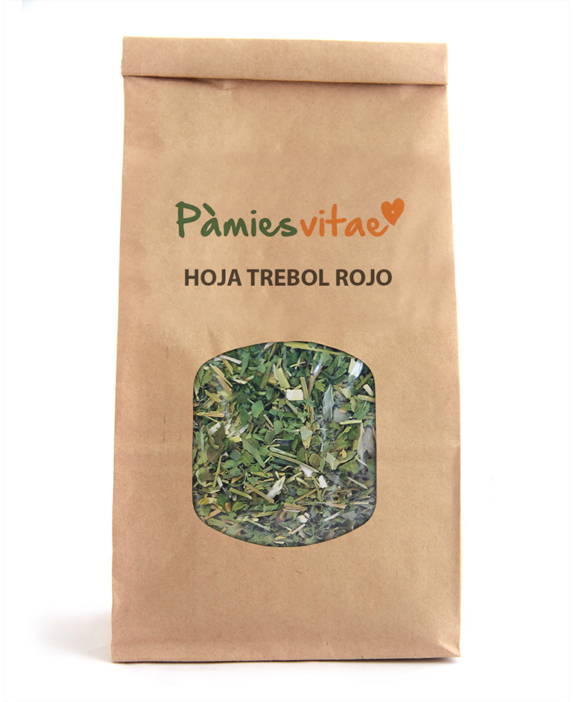TREBOL ROJO - HOJA - Trifolium pratenses