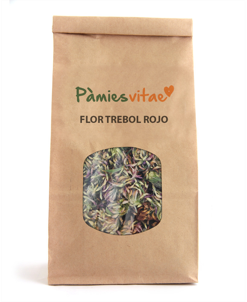 TREBOL ROJO - FLOR - Trifolium pratenses