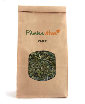 PAICO - Chenopodium ambrosioides