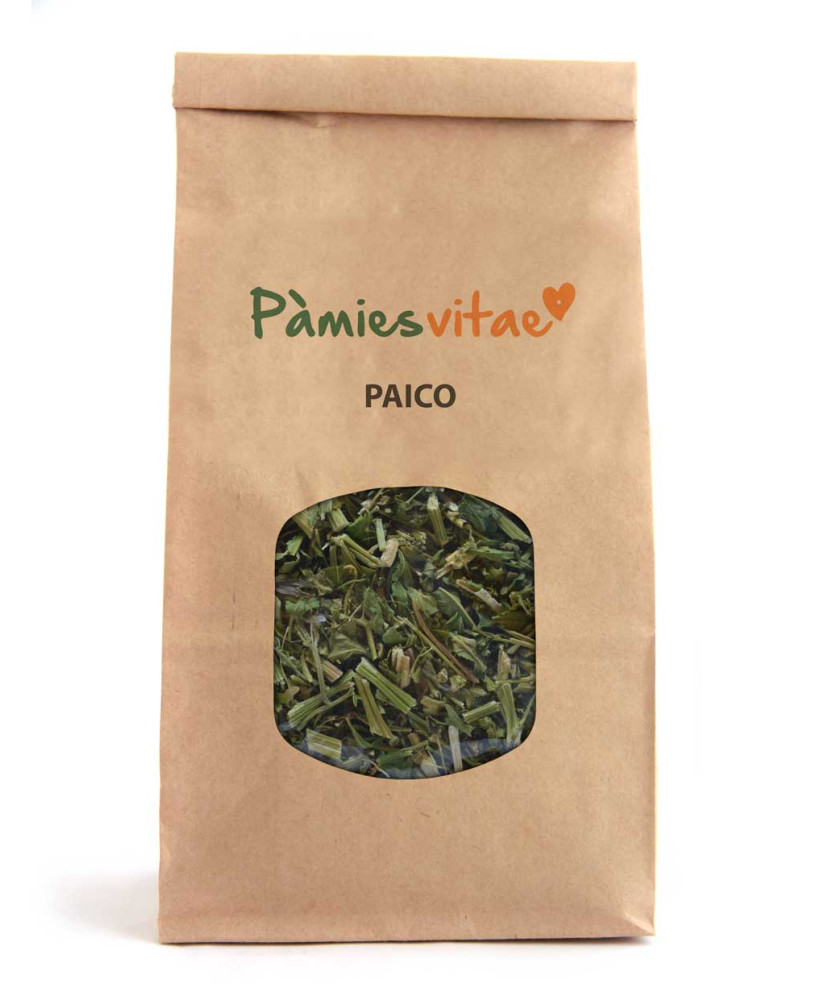 PAICO - Chenopodium ambrosioides