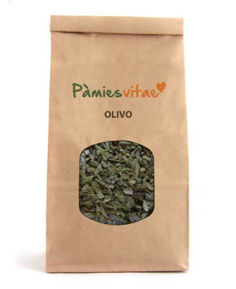 OLIVO/OLIVERA - Olea europaea