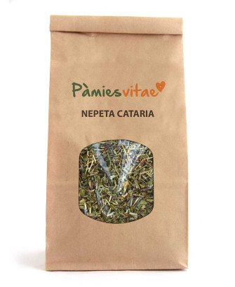 NEPETA CATARIA HIERBA GATERA - Nepeta cataria