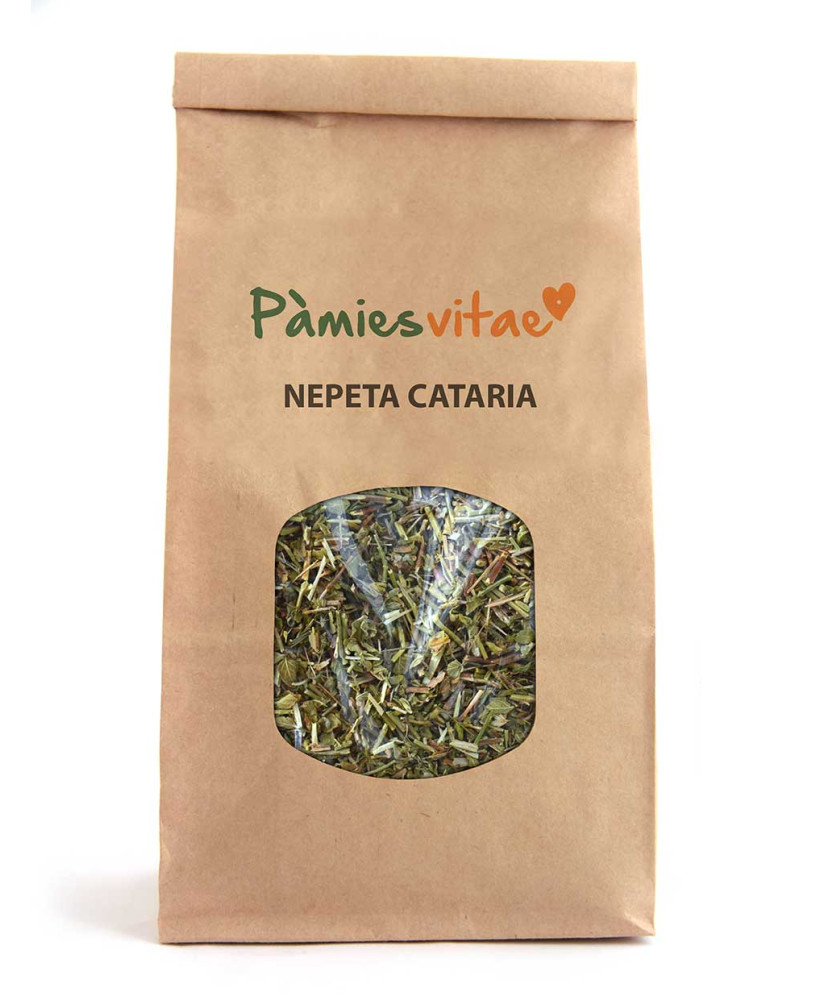 NEPETA CATARIA HIERBA GATERA - Nepeta cataria