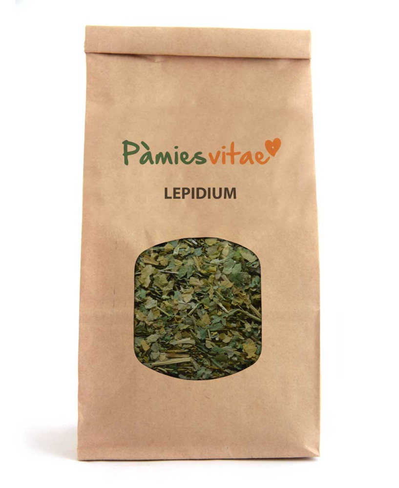 LEPIDIUM - Lepidium latifolium
