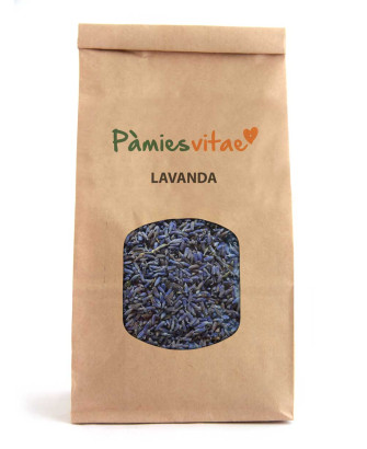 LAVANDA/ESPIGOL - Lavandula angustifolia