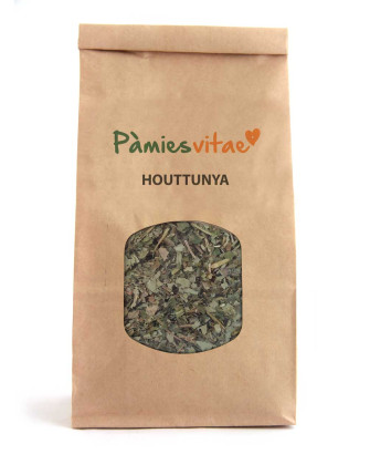HOUTTUYNIA HIERBA DEL PESCADO - Houttuynia cordata