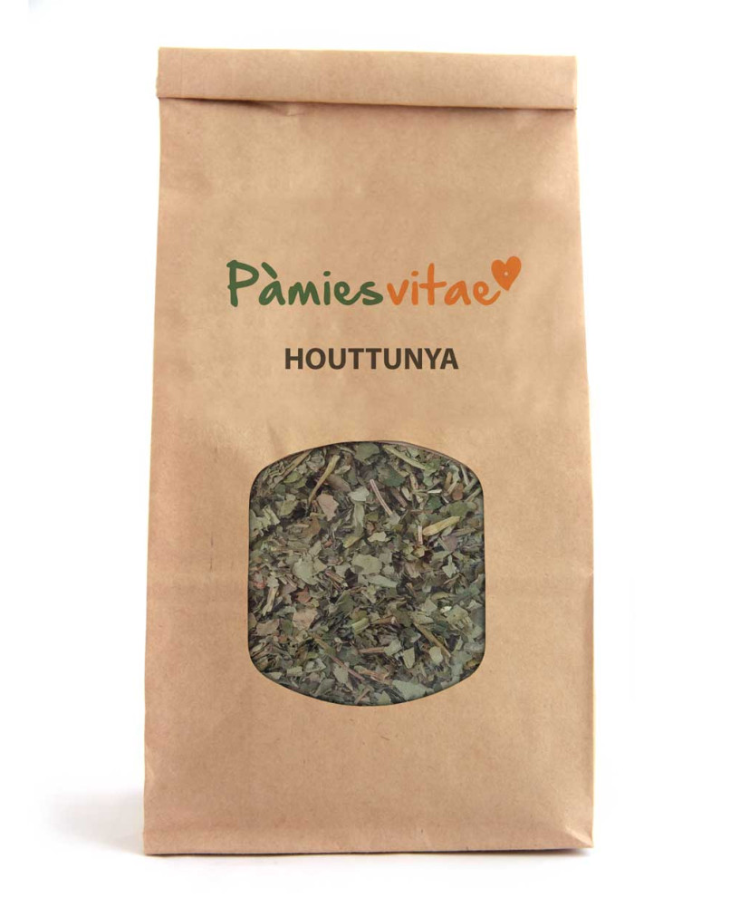 HOUTTUYNIA HIERBA DEL PESCADO - Houttuynia cordata