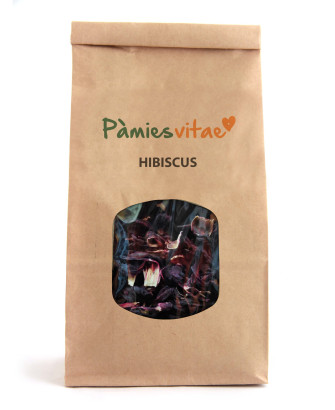 HIBISCUS - Hibiscus rosa-sinensis