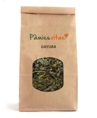GAYUBA - Arctostaphylos uva-ursi