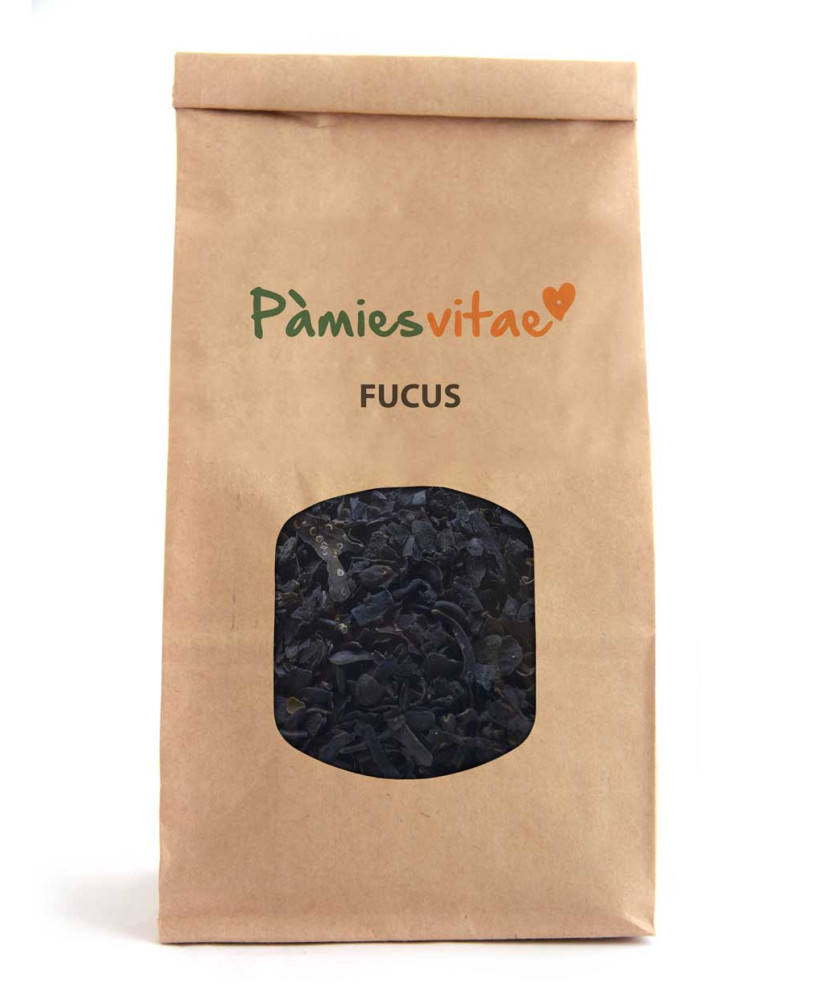 FUCUS - Fucus vesiculosus
