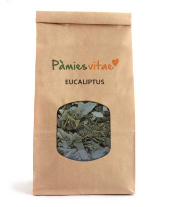 EUCALIPTO - Eucalyptus globulus