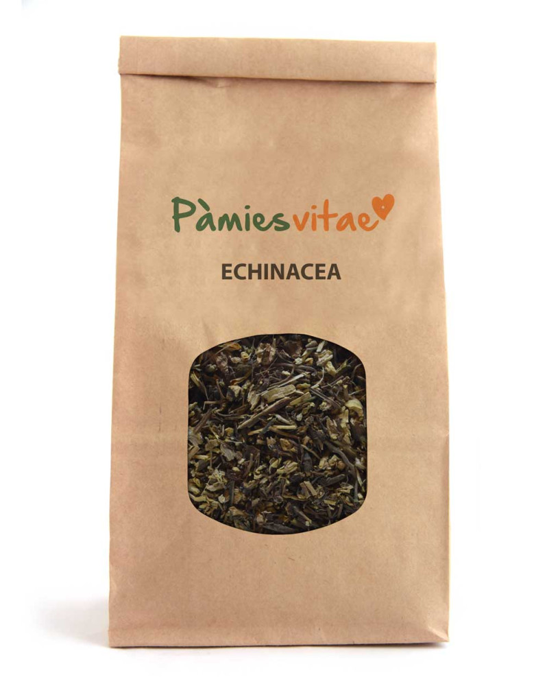 EQUINACEA - Echinacea purpurea