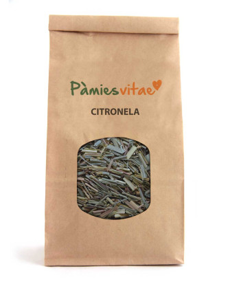 CITRONELA - Cymbopogon citratus