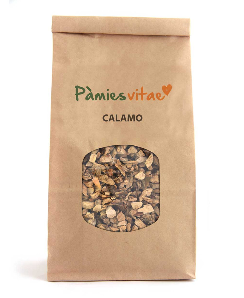CALAMO - Acorus calamus
