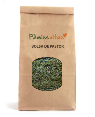 BOLSA DE PASTOR - Capsella busa-pastoris
