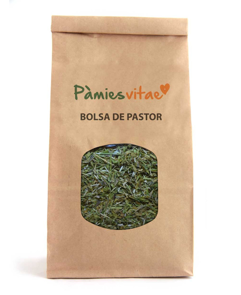 BOLSA DE PASTOR - Capsella busa-pastoris