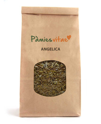 ANGELICA - RAÍZ - Angelica archangelica