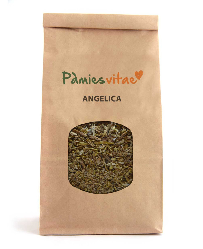 ANGELICA - RAÍZ - Angelica archangelica