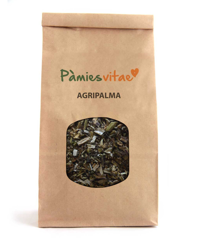 AGRIPALMA - Leonurus cardiaca