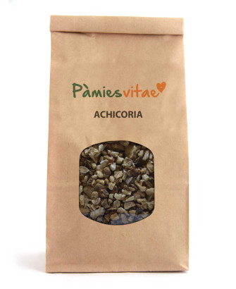 ACHICORIA/XICORIA - Cichorium intybus